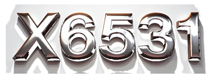 x6531 logo
